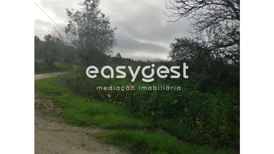 Terreno para Venda em Condeixa-A-Velha e Condeixa-A-Nova Foto 2