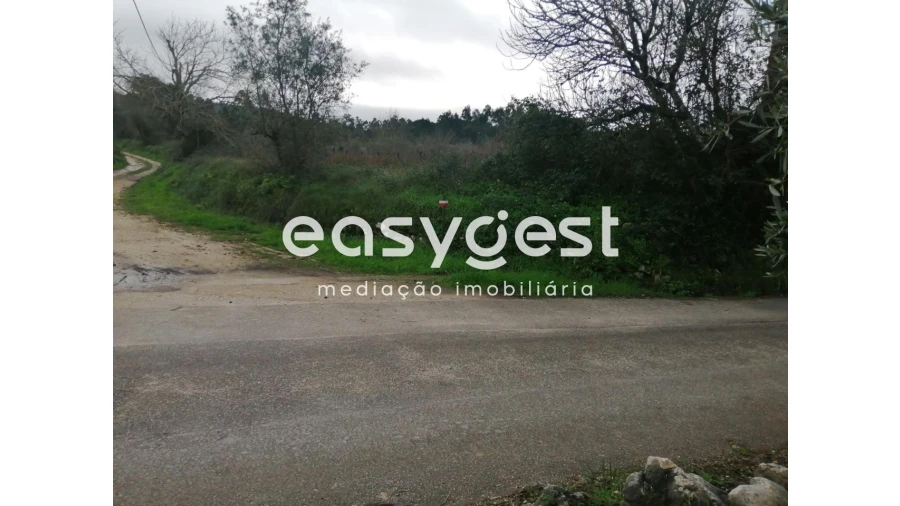 Terreno para Venda em Condeixa-A-Velha e Condeixa-A-Nova Foto 4