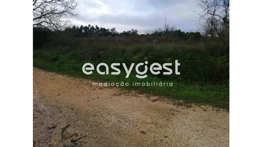 Terreno para Venda em Condeixa-A-Velha e Condeixa-A-Nova Foto 6