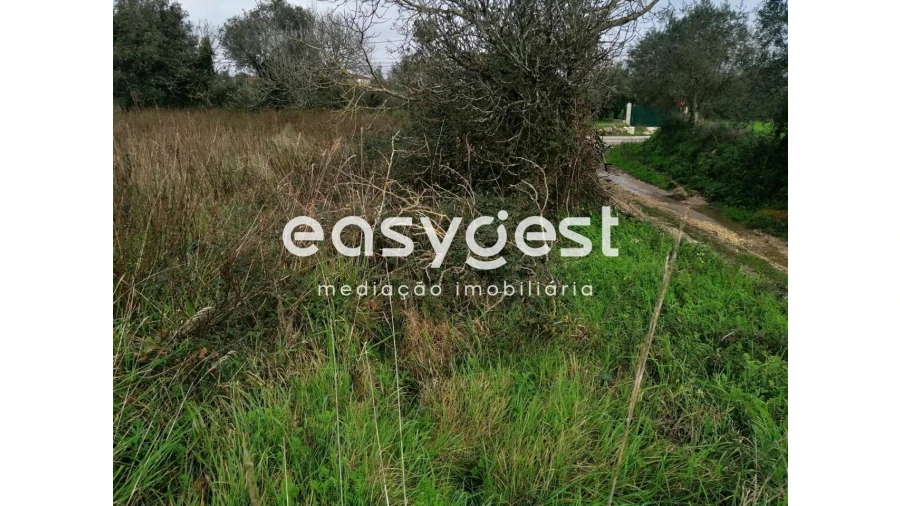 Terreno para Venda em Condeixa-A-Velha e Condeixa-A-Nova Foto 7