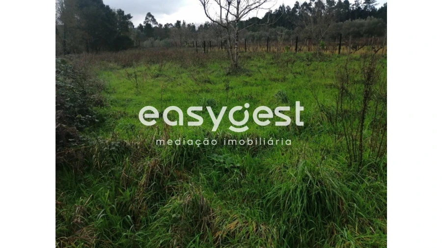 Terreno para Venda em Condeixa-A-Velha e Condeixa-A-Nova Foto 8