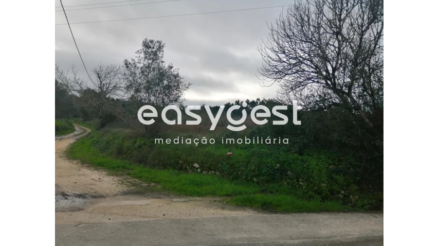 Terreno para Venda em Condeixa-A-Velha e Condeixa-A-Nova Foto 13