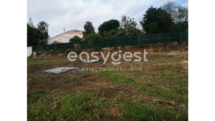 Terreno para Venda em Condeixa-A-Velha e Condeixa-A-Nova Foto 2