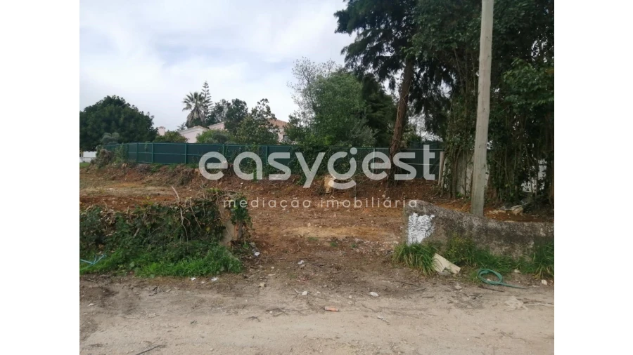 Terreno para Venda em Condeixa-A-Velha e Condeixa-A-Nova Foto 8