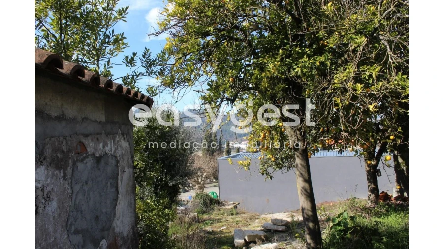 Terreno para Venda em Campia Foto 3