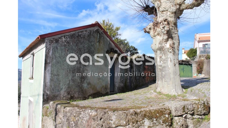 Terreno para Venda em Campia Foto 2