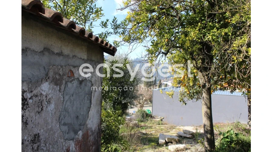 Terreno para Venda em Campia Foto 4