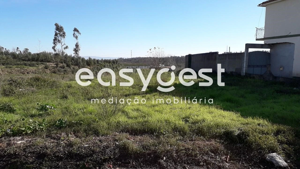 Terreno para Venda em Paião Foto 4