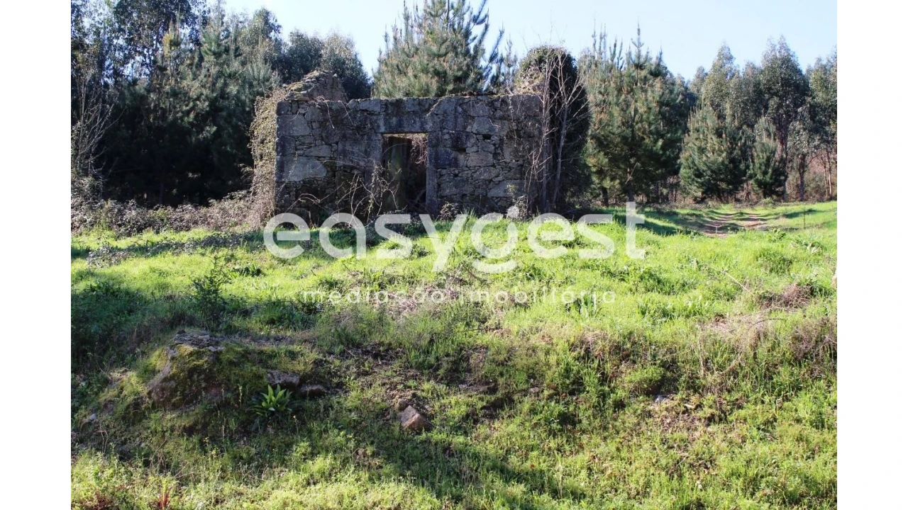 Terreno para Venda em Couto de Baixo e Couto de Cima Foto 1