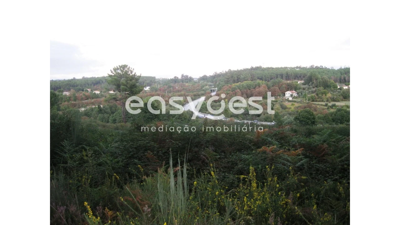 Terreno para Venda em Couto de Baixo e Couto de Cima Foto 2