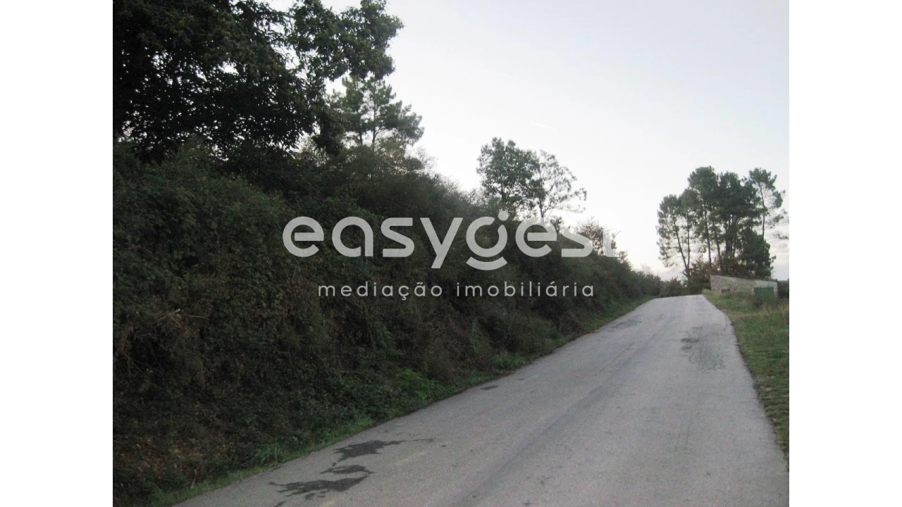 Terreno para Venda em Couto de Baixo e Couto de Cima Foto 3