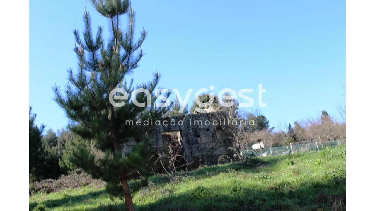 Terreno para Venda em Couto de Baixo e Couto de Cima Foto 4