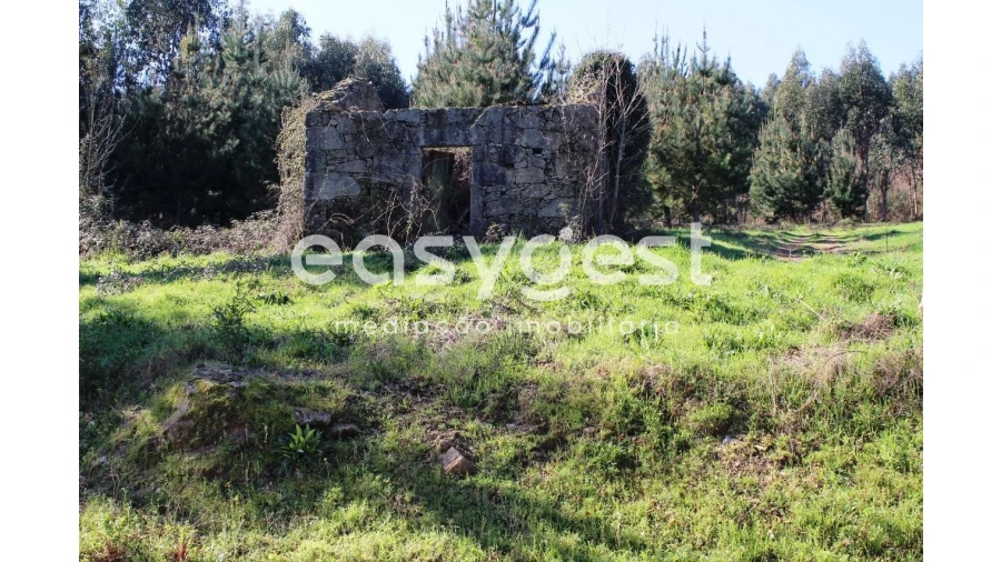 Terreno para Venda em Couto de Baixo e Couto de Cima Foto 1