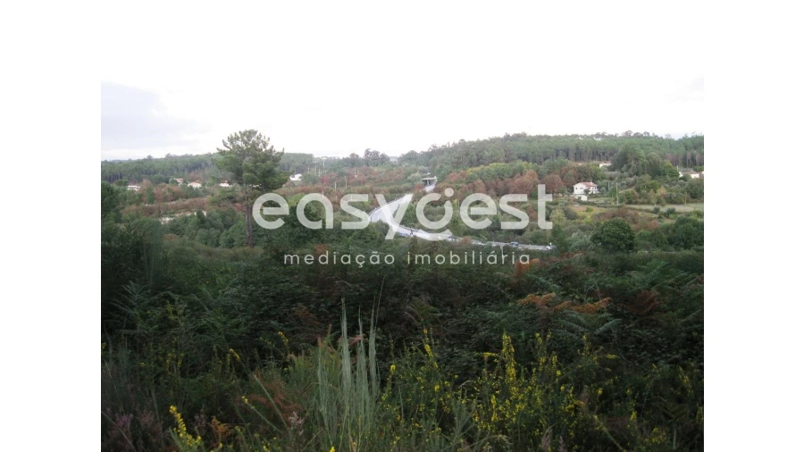 Terreno para Venda em Couto de Baixo e Couto de Cima Foto 2