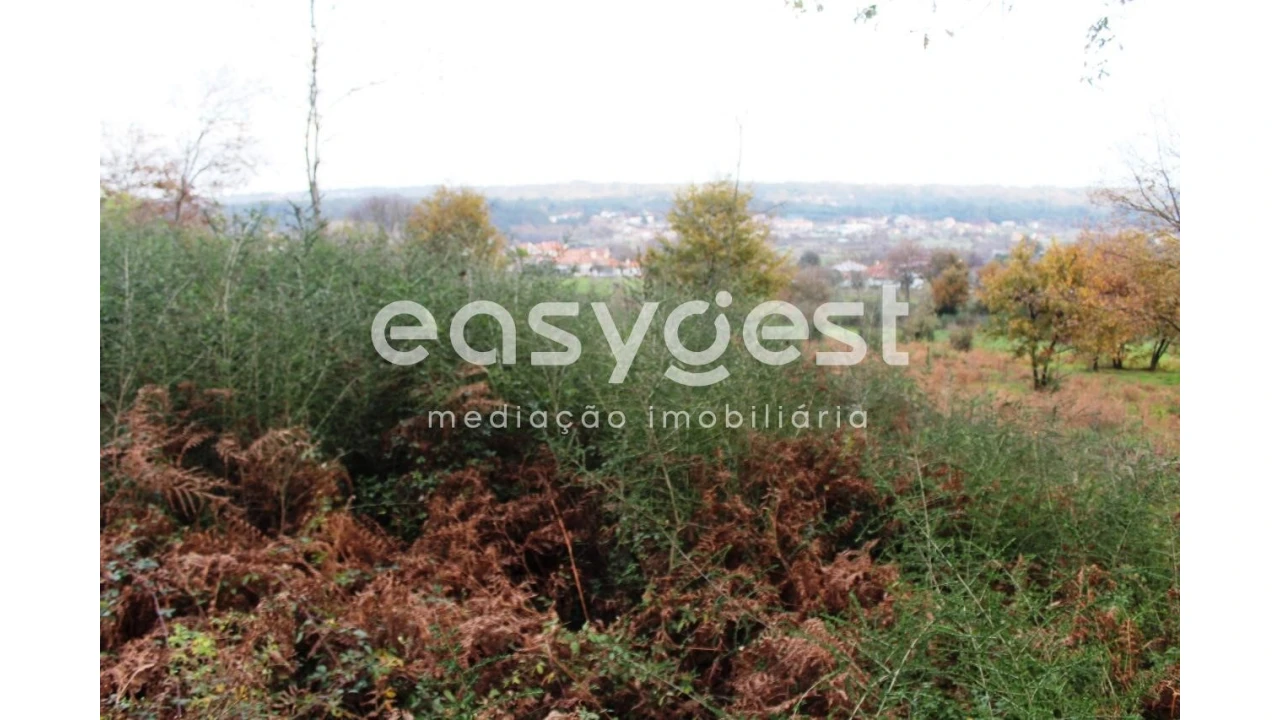 Moradia T4 para Venda em Campo de Besteiros Foto 5