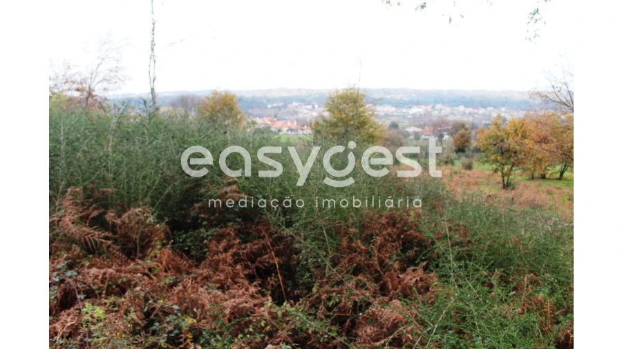 Moradia T4 para Venda em Campo de Besteiros Foto 5