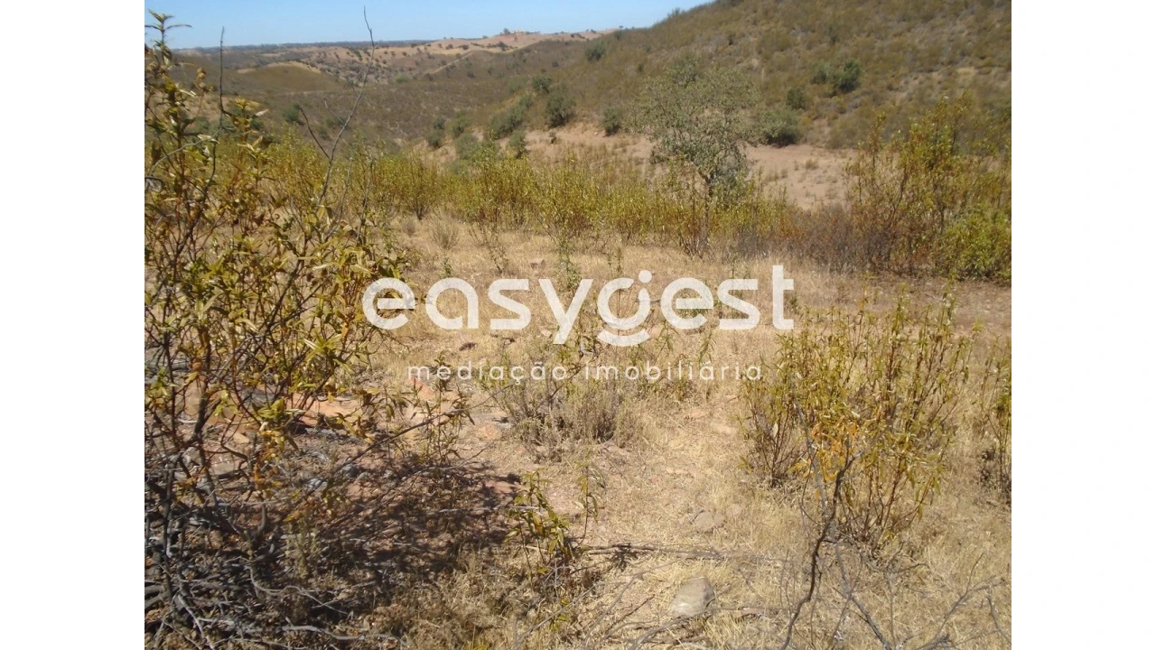 Terreno Agricola ou Rústico para Venda em Corte do Pinto Foto 1