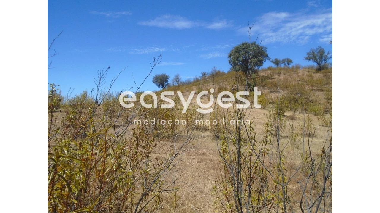 Terreno Agricola ou Rústico para Venda em Corte do Pinto Foto 2