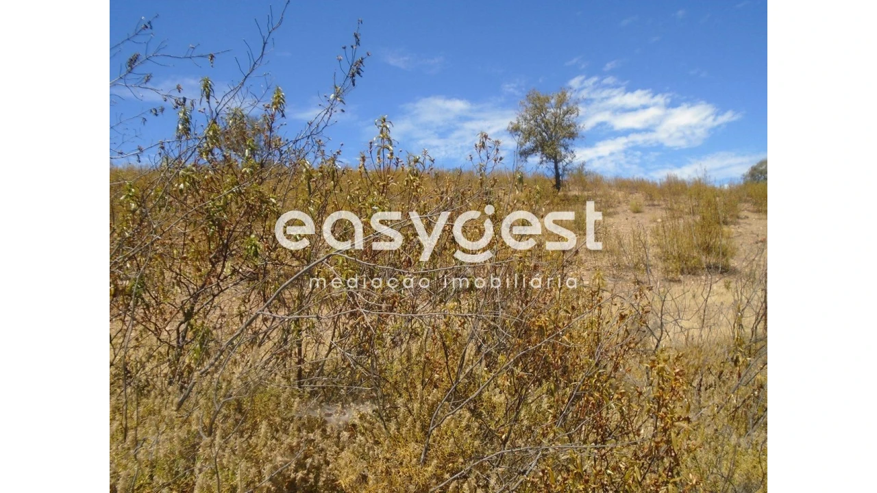 Terreno Agricola ou Rústico para Venda em Corte do Pinto Foto 3