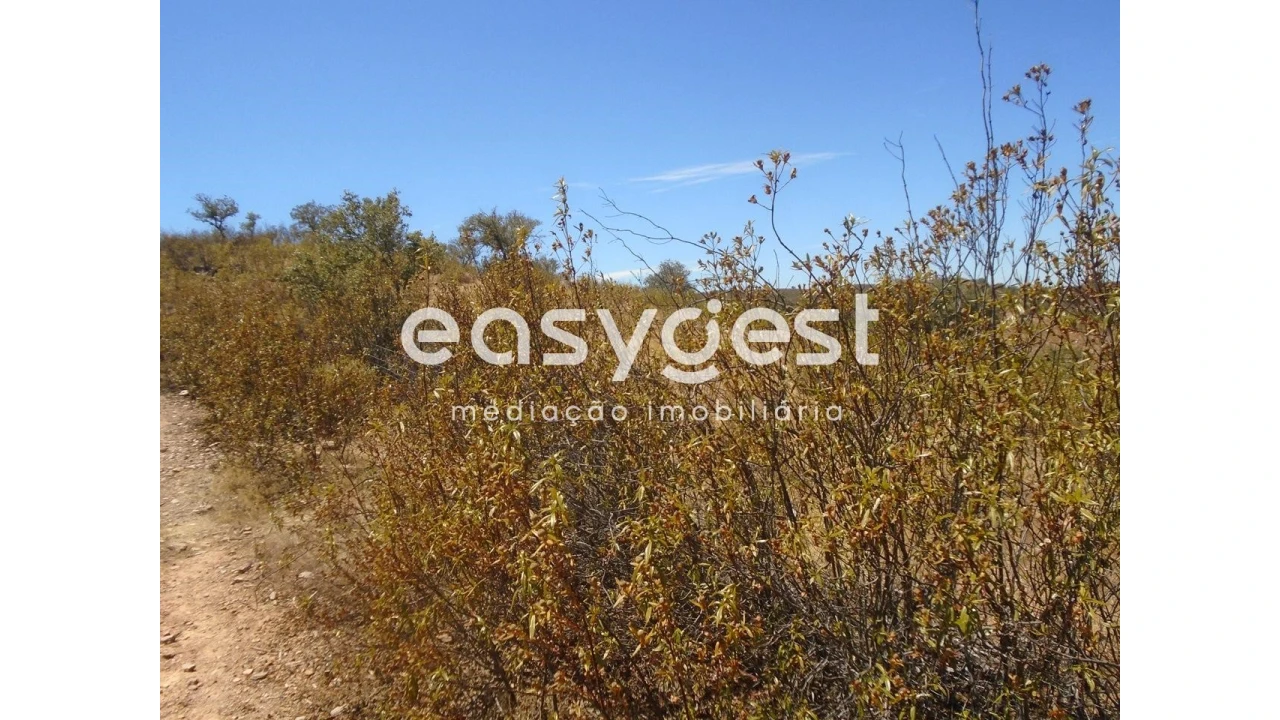 Terreno Agricola ou Rústico para Venda em Corte do Pinto Foto 6