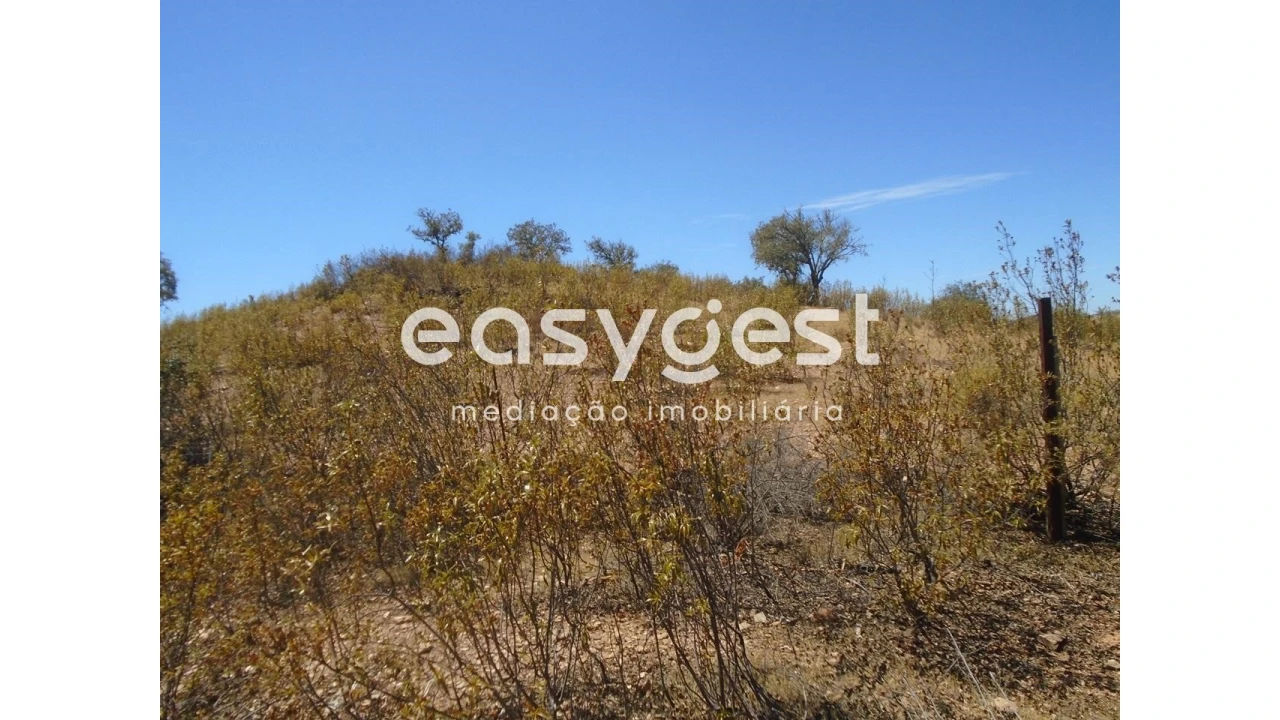 Terreno Agricola ou Rústico para Venda em Corte do Pinto Foto 8