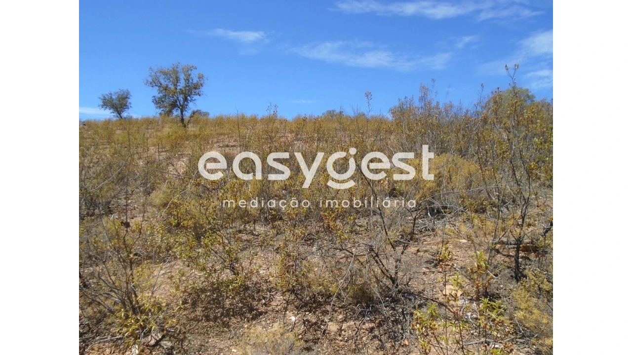 Terreno Agricola ou Rústico para Venda em Corte do Pinto Foto 9