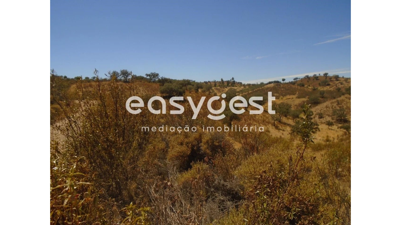 Terreno Agricola ou Rústico para Venda em Corte do Pinto Foto 11