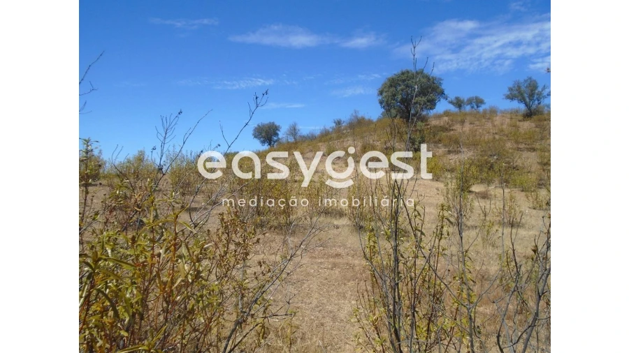 Terreno Agricola ou Rústico para Venda em Corte do Pinto Foto 2
