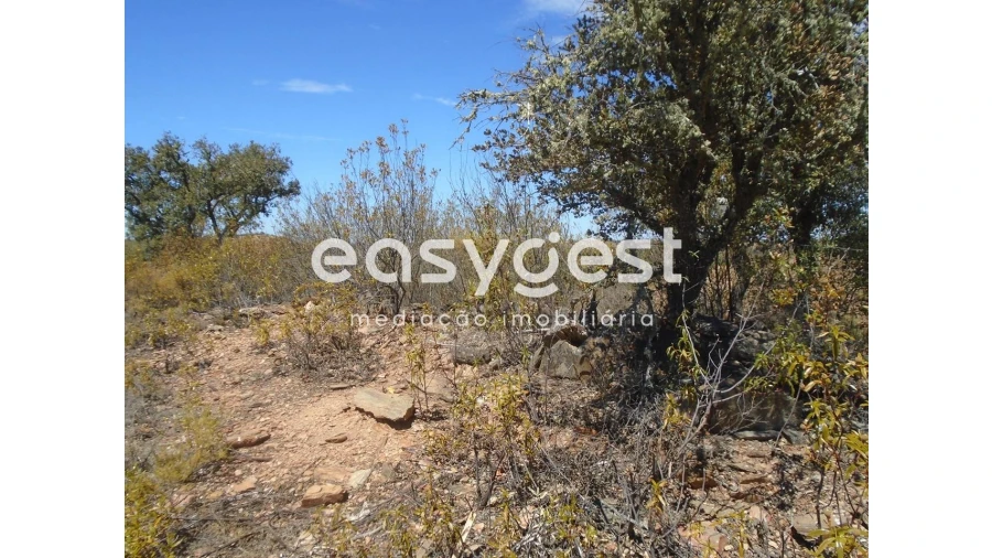 Terreno Agricola ou Rústico para Venda em Corte do Pinto Foto 4