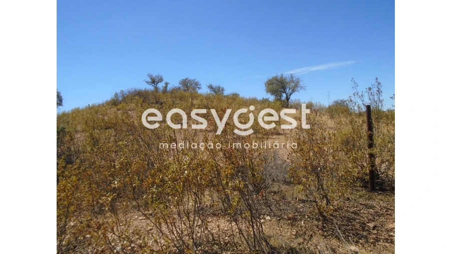 Terreno Agricola ou Rústico para Venda em Corte do Pinto Foto 8