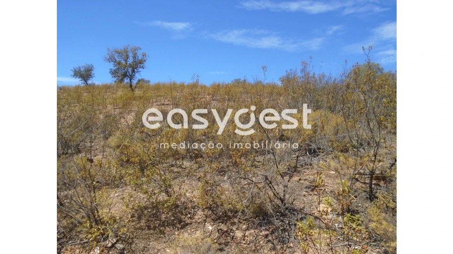 Terreno Agricola ou Rústico para Venda em Corte do Pinto Foto 9