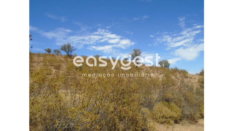 Terreno Agricola ou Rústico para Venda em Corte do Pinto Foto 13
