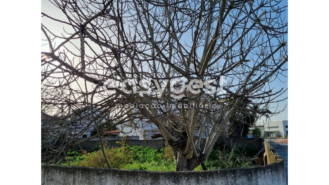 Terreno para Venda em Ferreira do Alentejo e Canhestros Foto 2