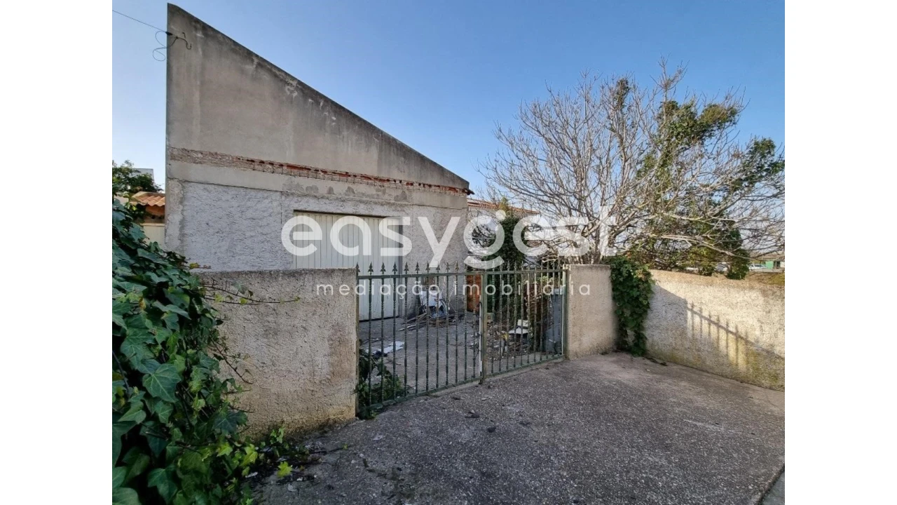 Terreno para Venda em Ferreira do Alentejo e Canhestros Foto 3