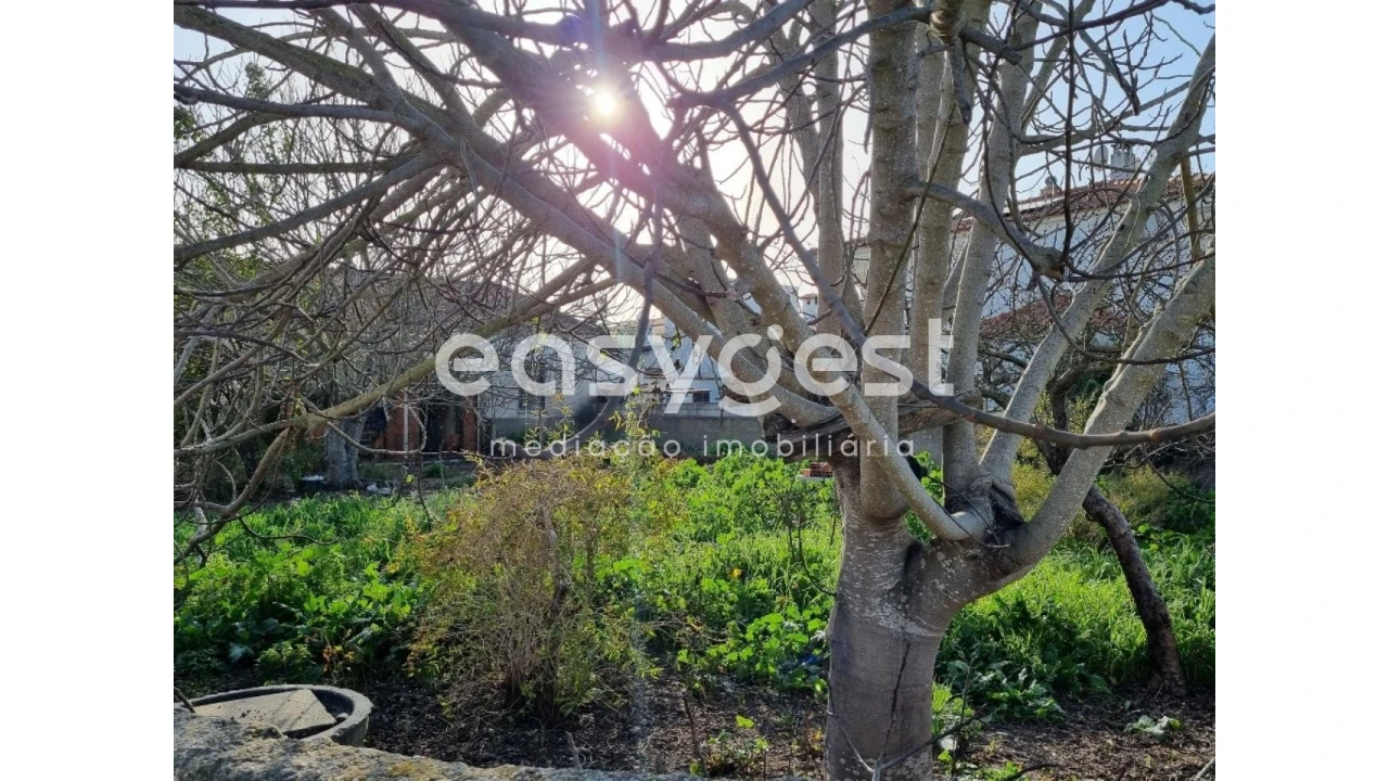 Terreno para Venda em Ferreira do Alentejo e Canhestros Foto 6