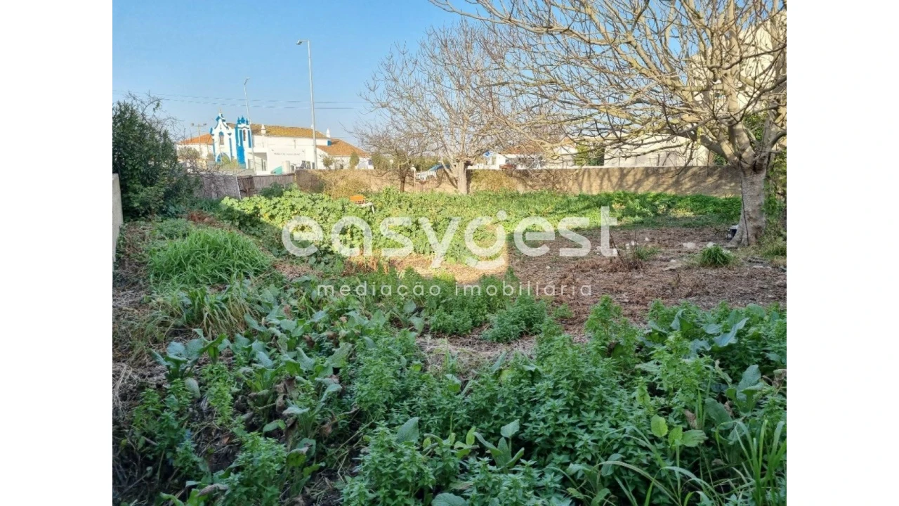 Terreno para Venda em Ferreira do Alentejo e Canhestros Foto 9