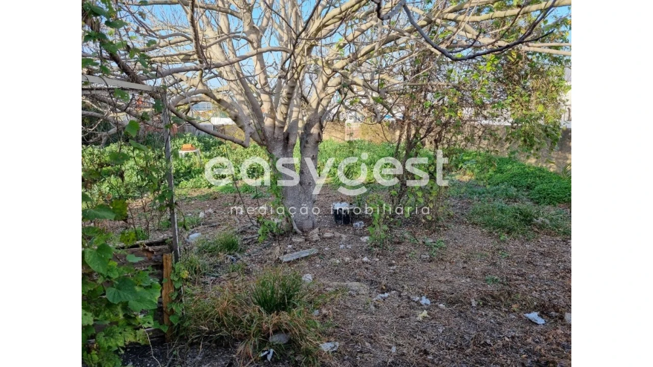 Terreno para Venda em Ferreira do Alentejo e Canhestros Foto 11