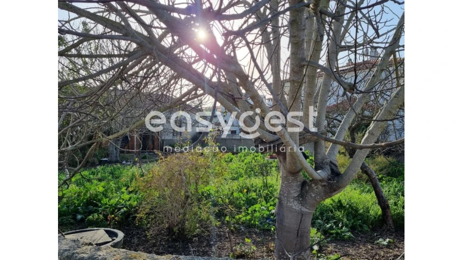 Terreno para Venda em Ferreira do Alentejo e Canhestros Foto 6