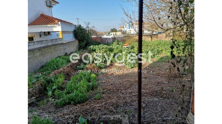 Terreno para Venda em Ferreira do Alentejo e Canhestros Foto 7