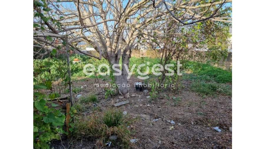 Terreno para Venda em Ferreira do Alentejo e Canhestros Foto 12