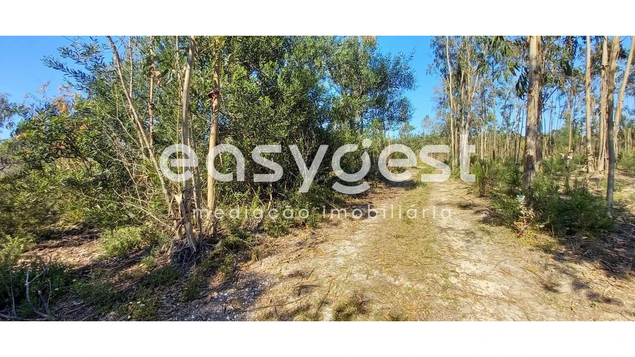 Terreno Agricola ou Rústico para Venda em Cantanhede e Pocariça Foto 1