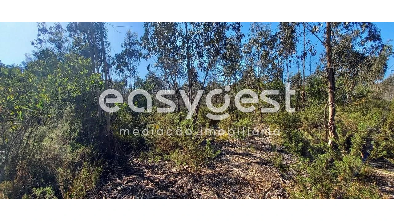 Terreno Agricola ou Rústico para Venda em Cantanhede e Pocariça Foto 2