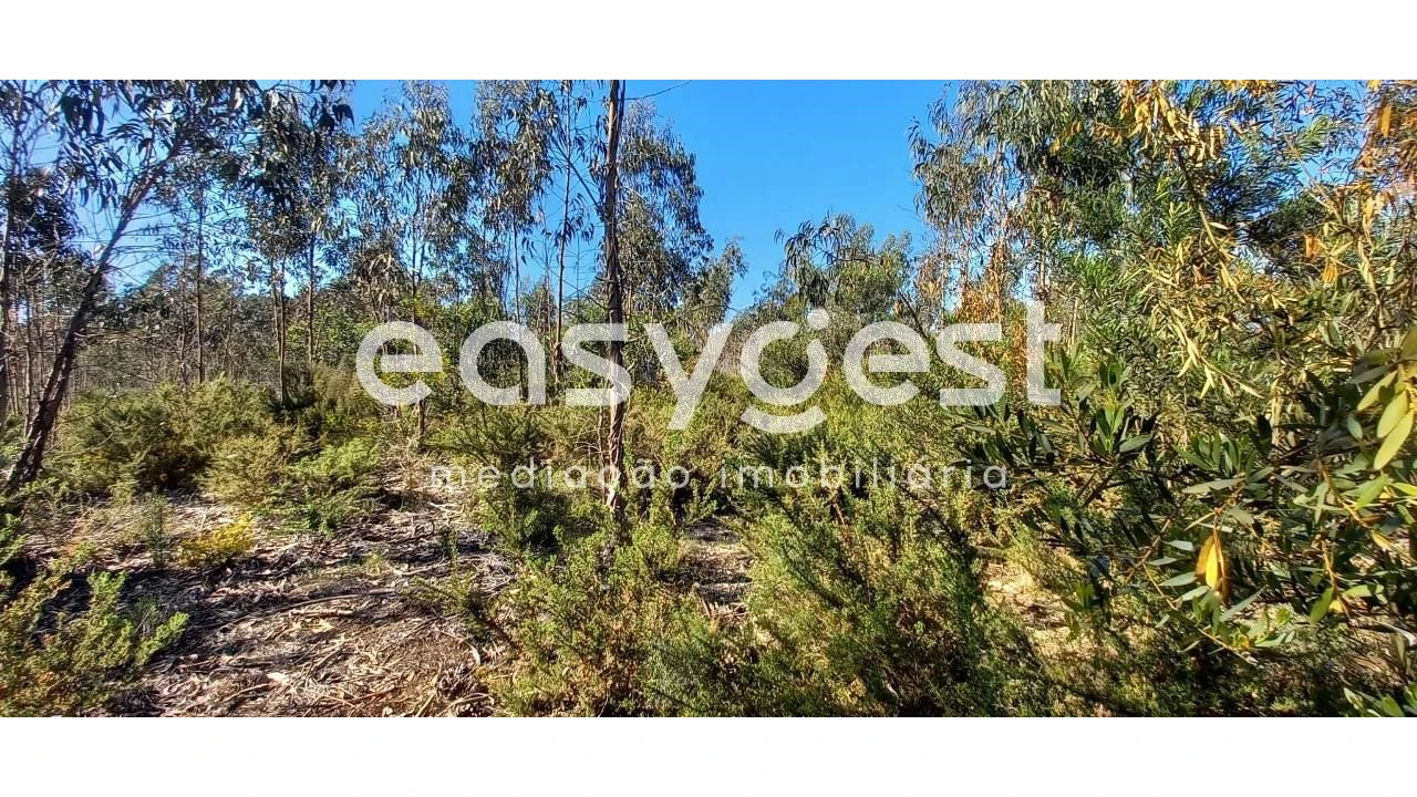 Terreno Agricola ou Rústico para Venda em Cantanhede e Pocariça Foto 3