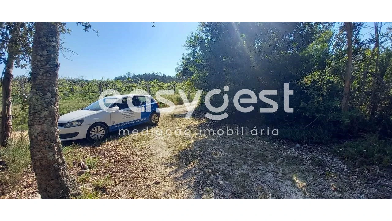 Terreno Agricola ou Rústico para Venda em Cantanhede e Pocariça Foto 5
