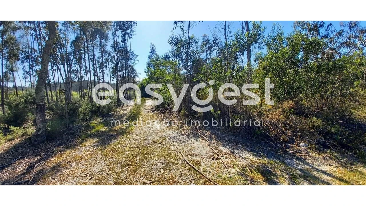 Terreno Agricola ou Rústico para Venda em Cantanhede e Pocariça Foto 8