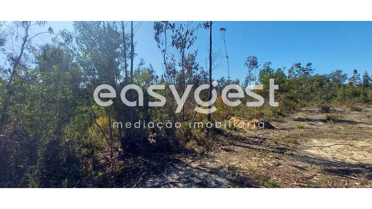 Terreno Agricola ou Rústico para Venda em Cantanhede e Pocariça Foto 11