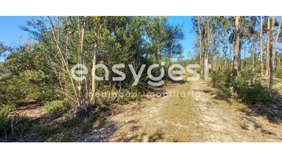 Terreno Agricola ou Rústico para Venda em Cantanhede e Pocariça