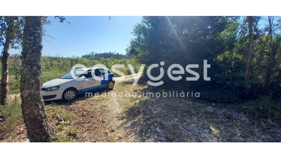 Terreno Agricola ou Rústico para Venda em Cantanhede e Pocariça Foto 5