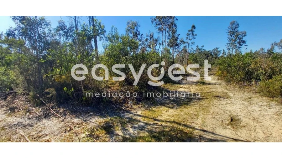 Terreno Agricola ou Rústico para Venda em Cantanhede e Pocariça Foto 6