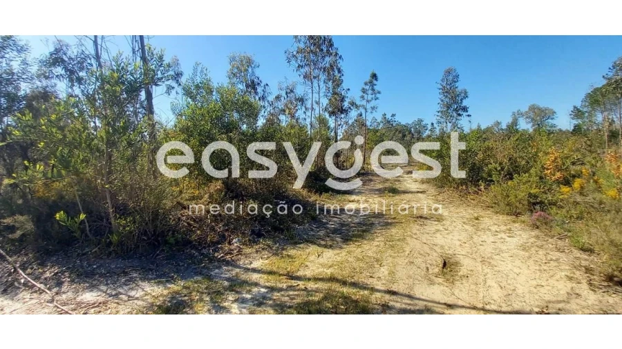 Terreno Agricola ou Rústico para Venda em Cantanhede e Pocariça Foto 7